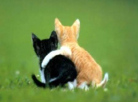 Machichaaaaaaaaaaaaaaaa